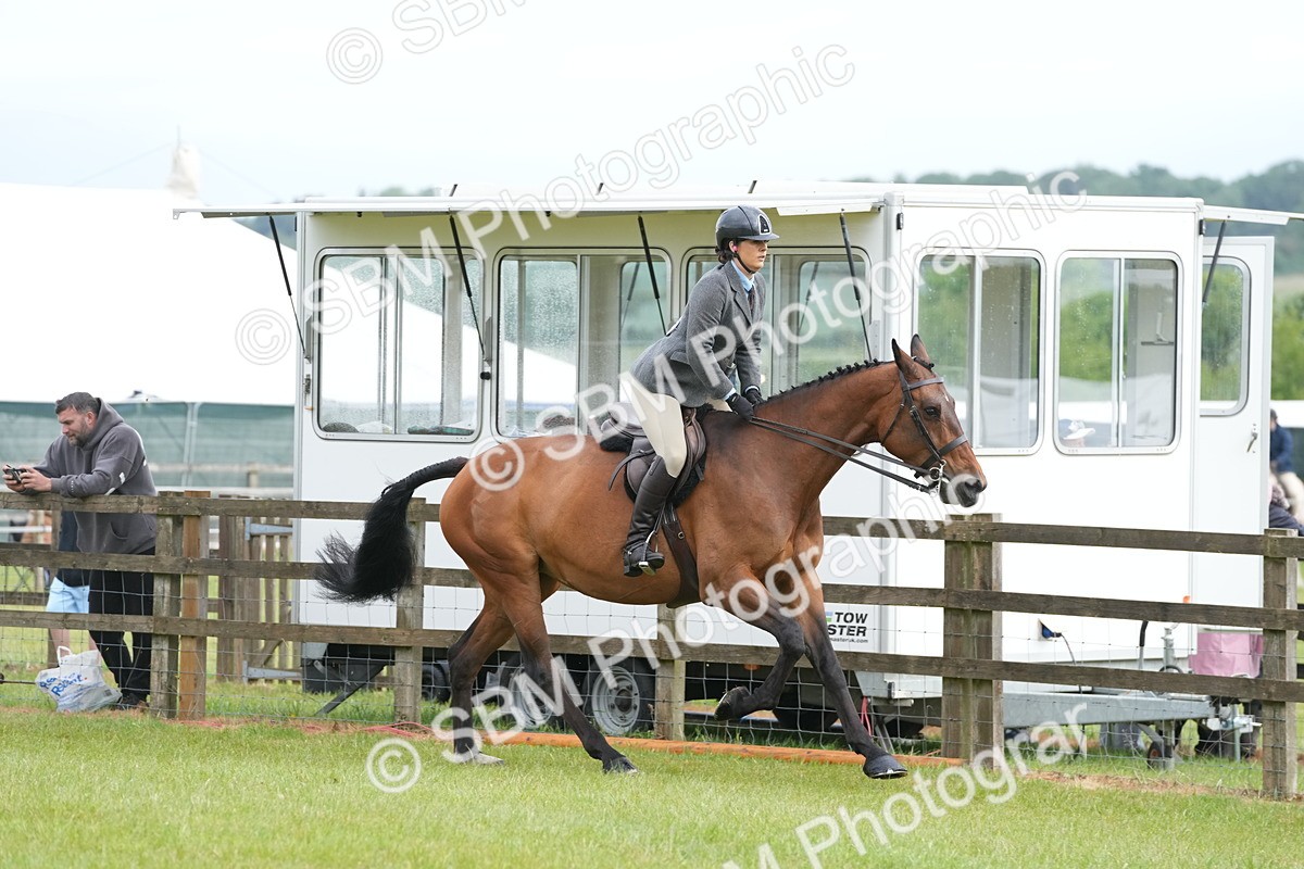 SBM_12728 - Class 97-98 - LIHS BSHA Rising Star Working Show Horse Hunter