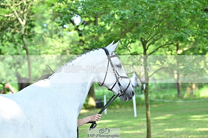 250521A-162344-01110 - C-218-Zoe.Davies-SHUTTERFLY.BLUE
