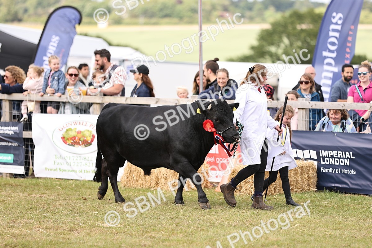 SBM_16898 - Grand Parade