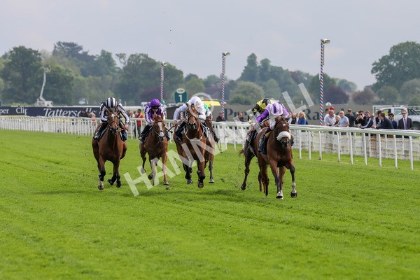 150524-Race 4-Secret Satire-1513 - Race 4 3.45pm Tattersalls Musidora Stakes