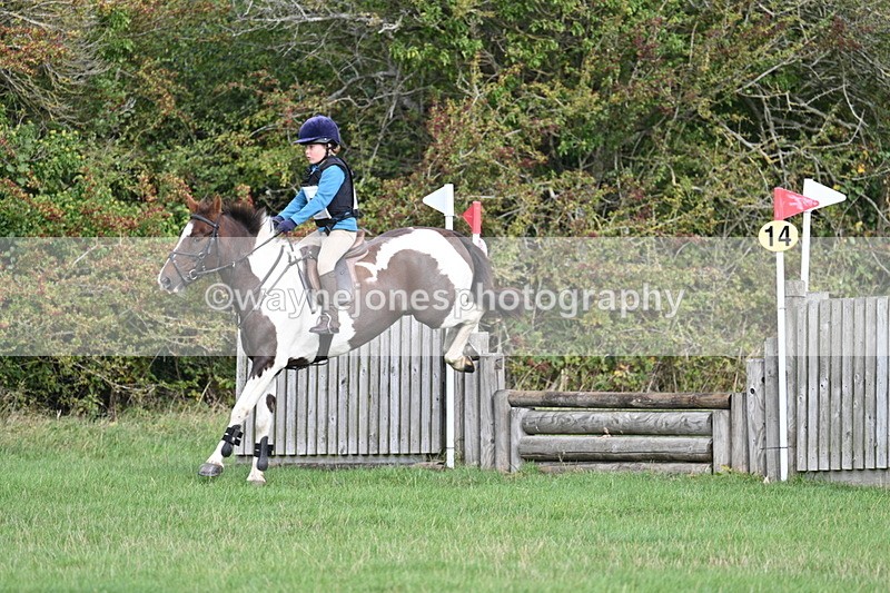 WJ7_8394 - 60cm Pairs