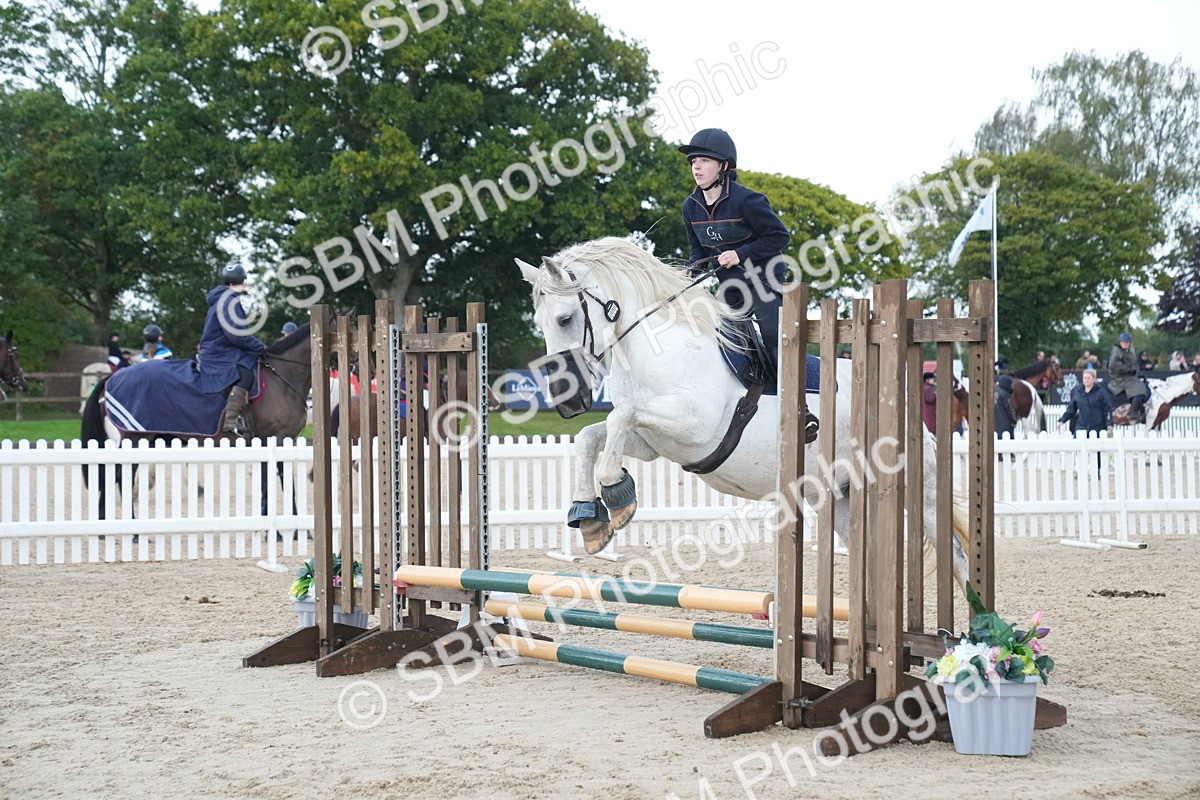 SBM_01703 - J54 - Clear Round 50cm