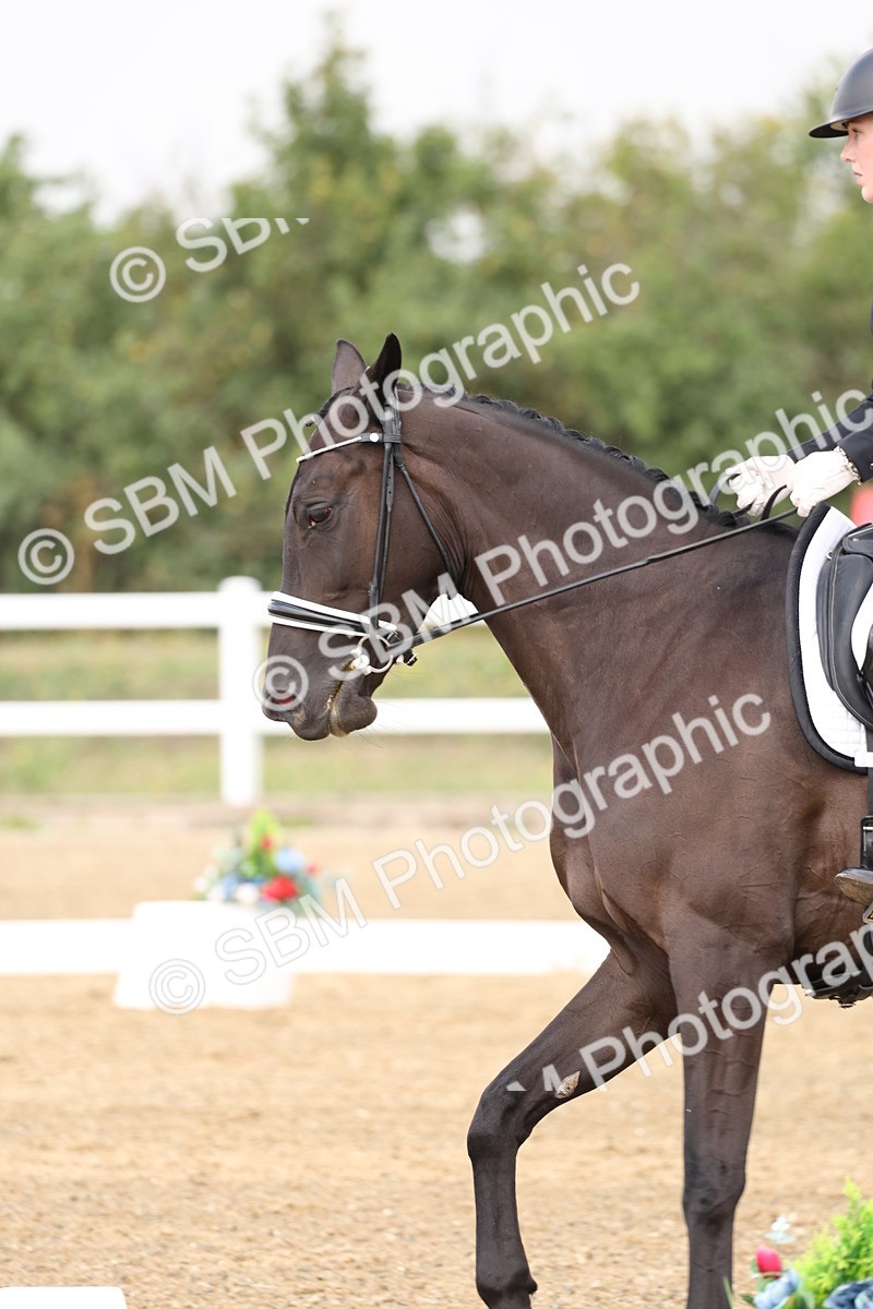 SBM_006286 - Class 6 - novice 6 - 11.50-12.46