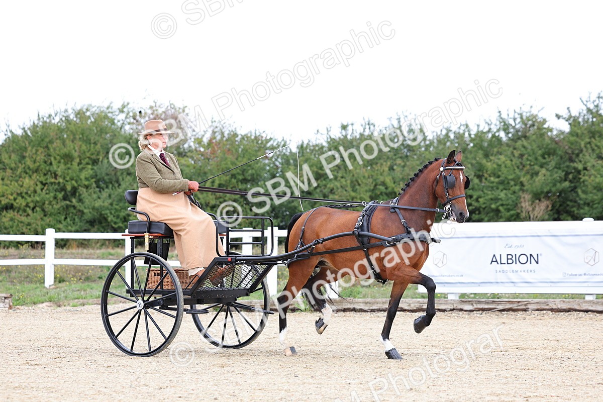SBM_000247 - Class 2 - Exercise Vehicle 13.2hh & Under