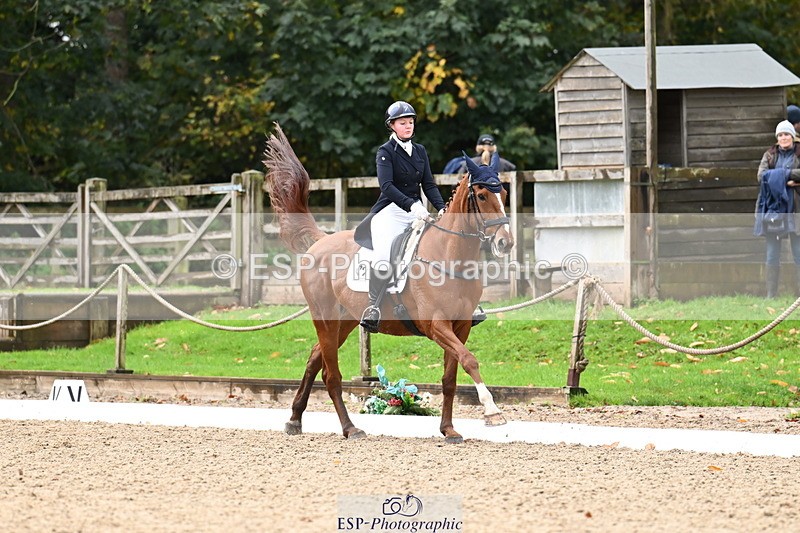 251023A-124310-02309 - B-154-Holly.Law