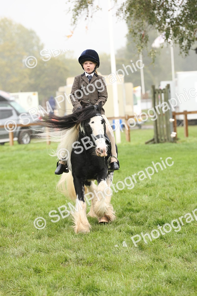 SBM_72824 - S70 - Traditional Cob Ridden