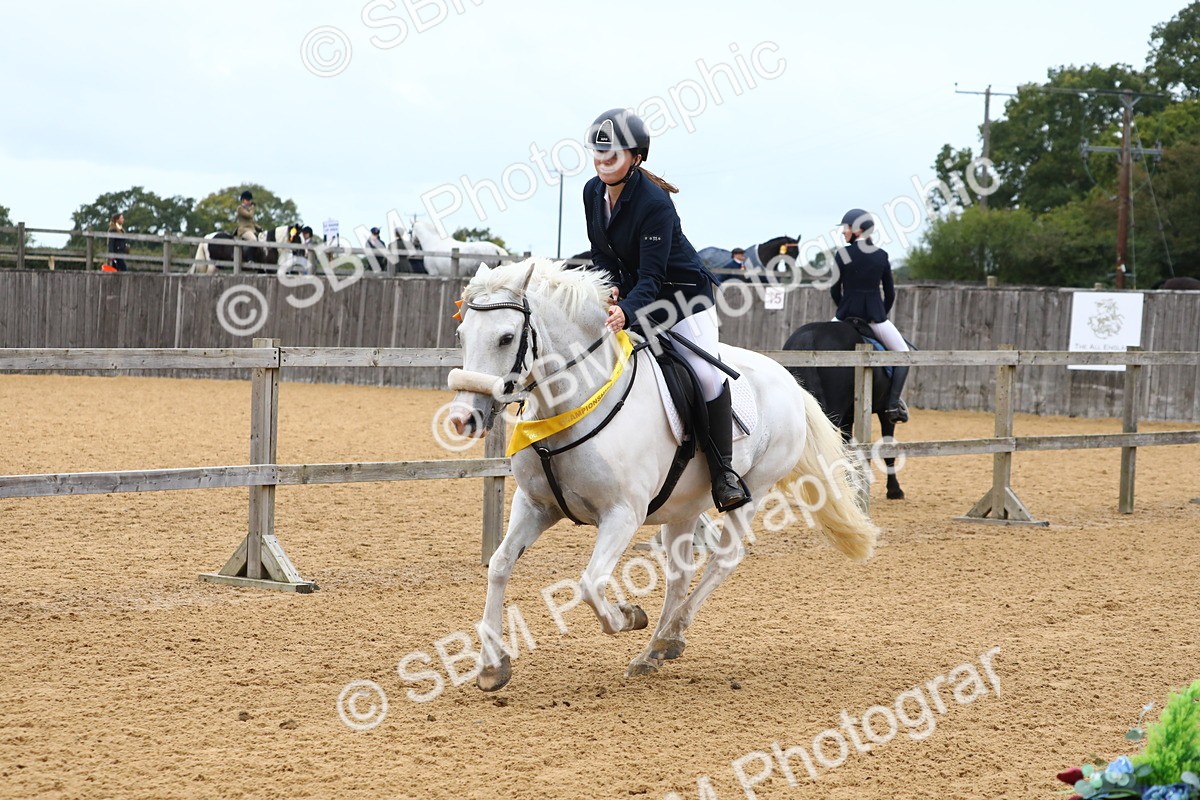 SBM_60180 - J63 - Junior Pony 50cm Championship