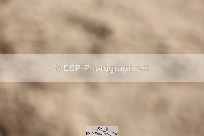 250427-160805-18347 - Cls 24 - 1 Star Gold Tour