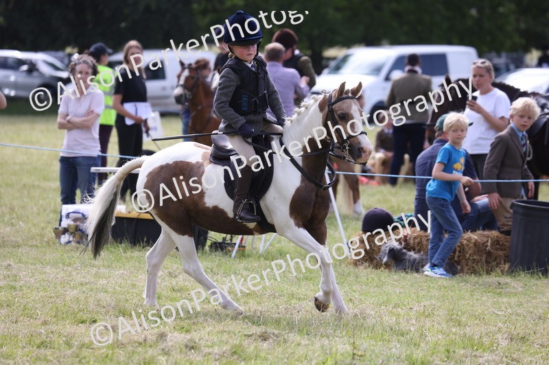 20260614-0701 - Class 20 - Beginners Working Hunter Pony