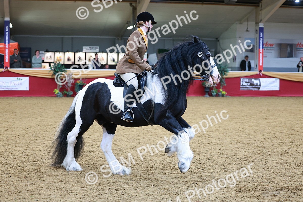 SBM_05450 - Class 11R - Ridden Veteran