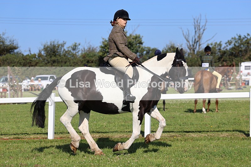 IMG_1500 - Class 30: Ridden Native/Trad Coloured Pony