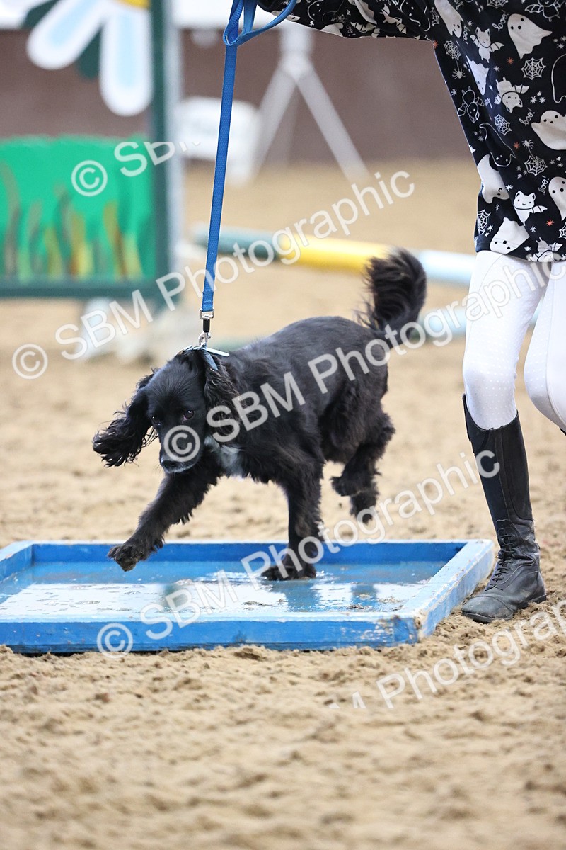 SBM_001557 - Class 3 - Horse & Hound 60cm