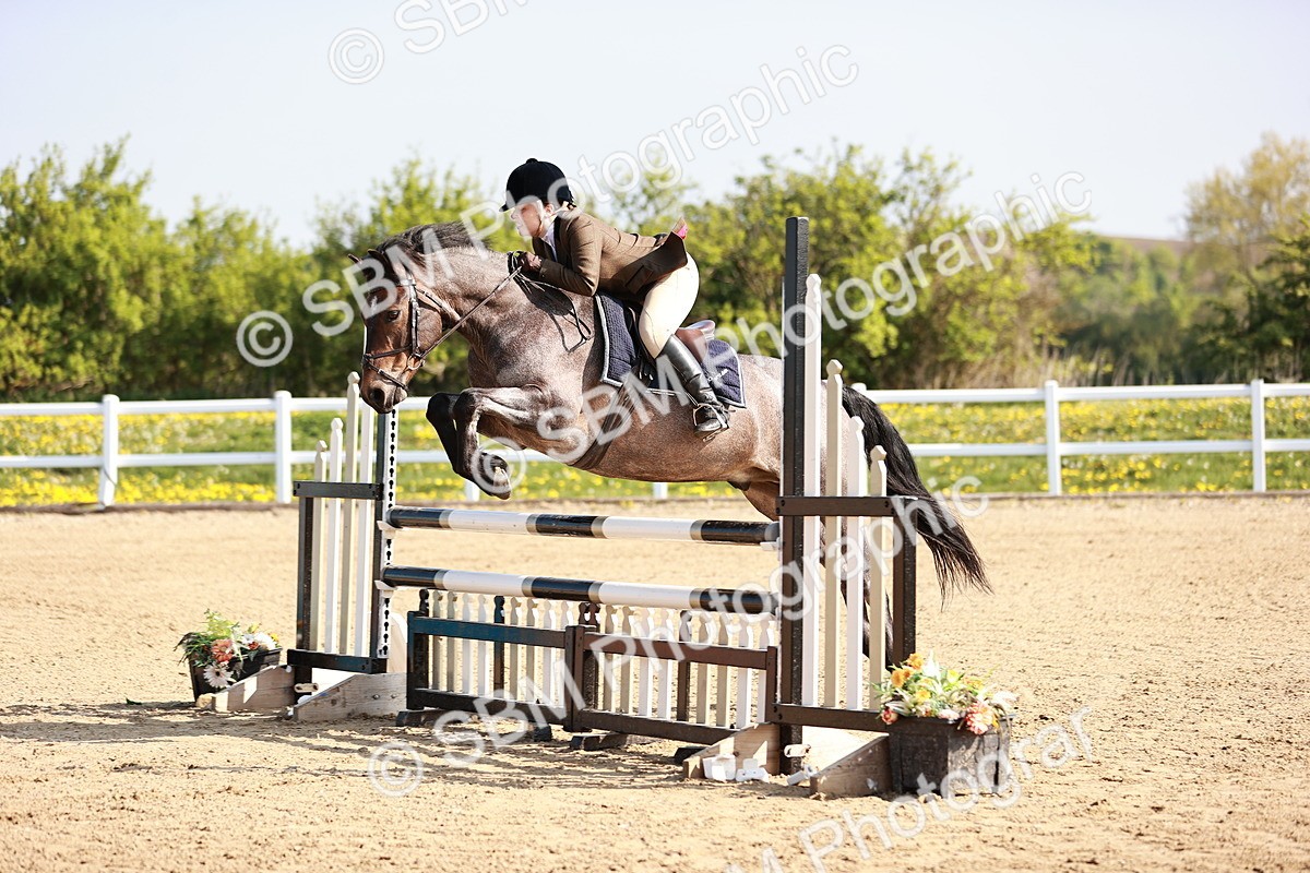  - Class 21 - Senior British Novice - 90cm