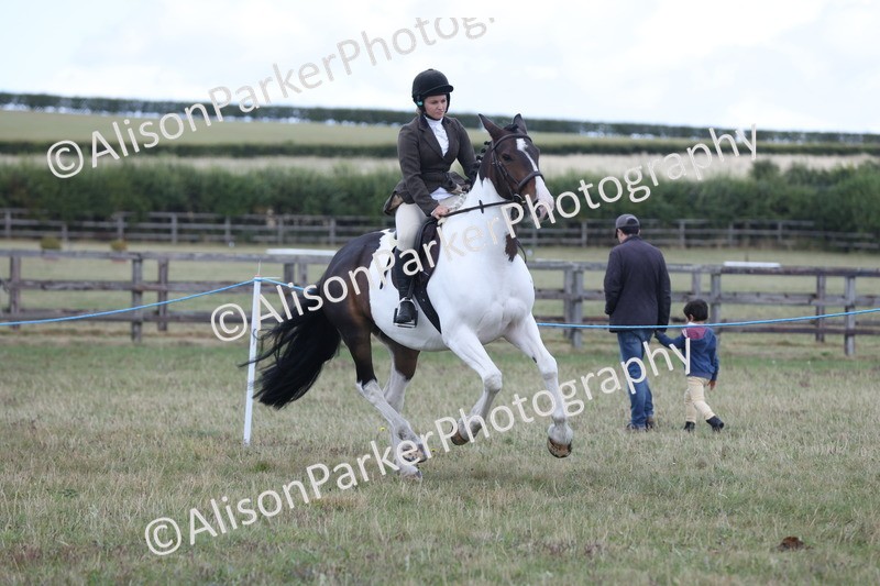 20250831-4239 - Class 20 - Ridden Coloured