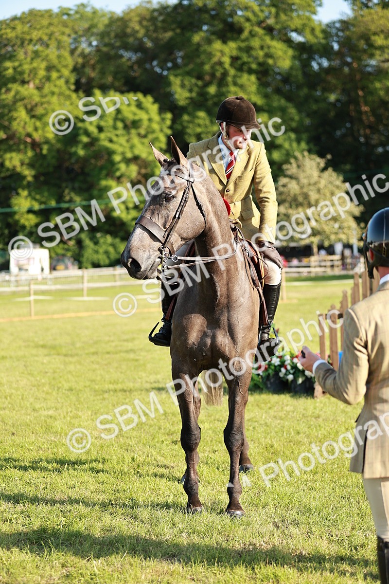SBM_20178 - Class 117-119 - Sport Horse Working Hunter