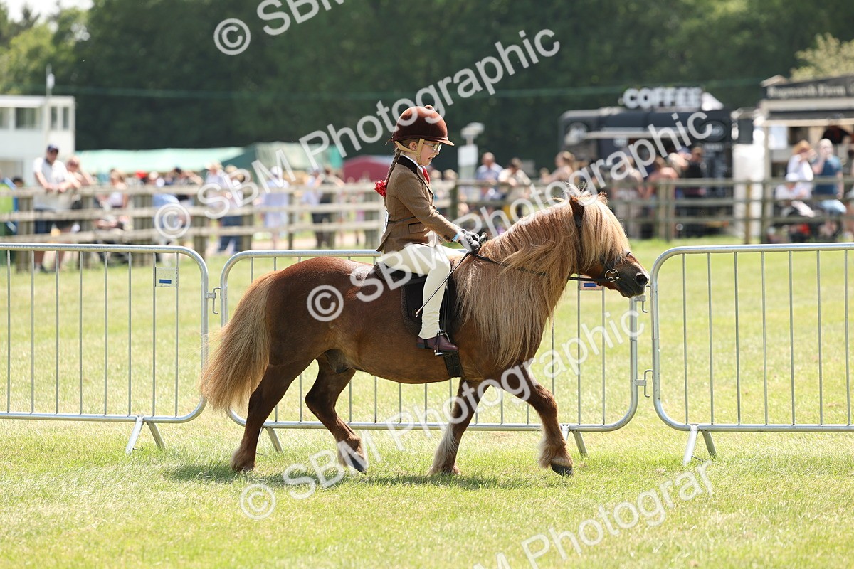 SBM_05320 - Class 24-25 - Mountain & Moorland In Hand Lead Rein and First Ridden