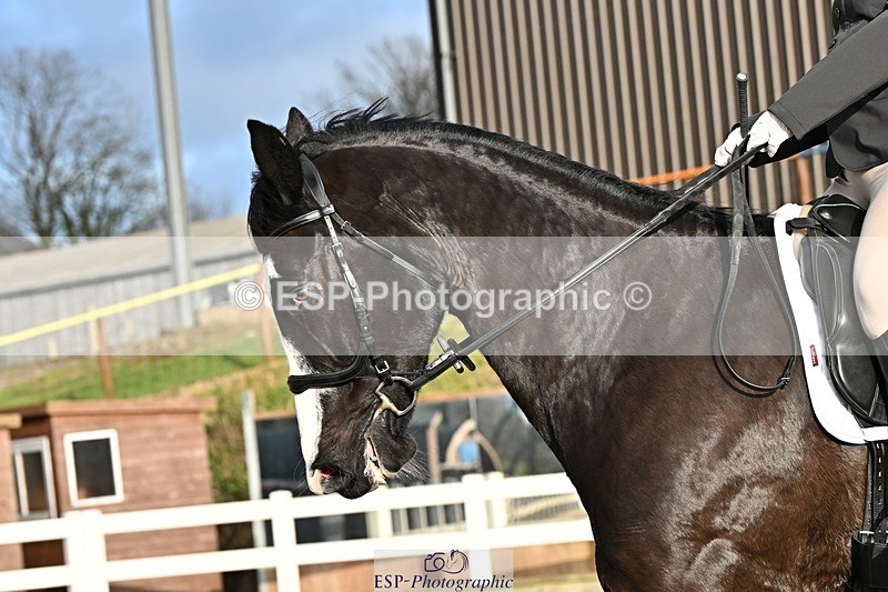 241214-132212-02402 - 119-Rosey.Bradburn-High.Spirits.II