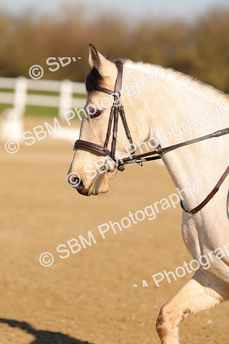 SBM_000741 - Class 1 - Intro 1