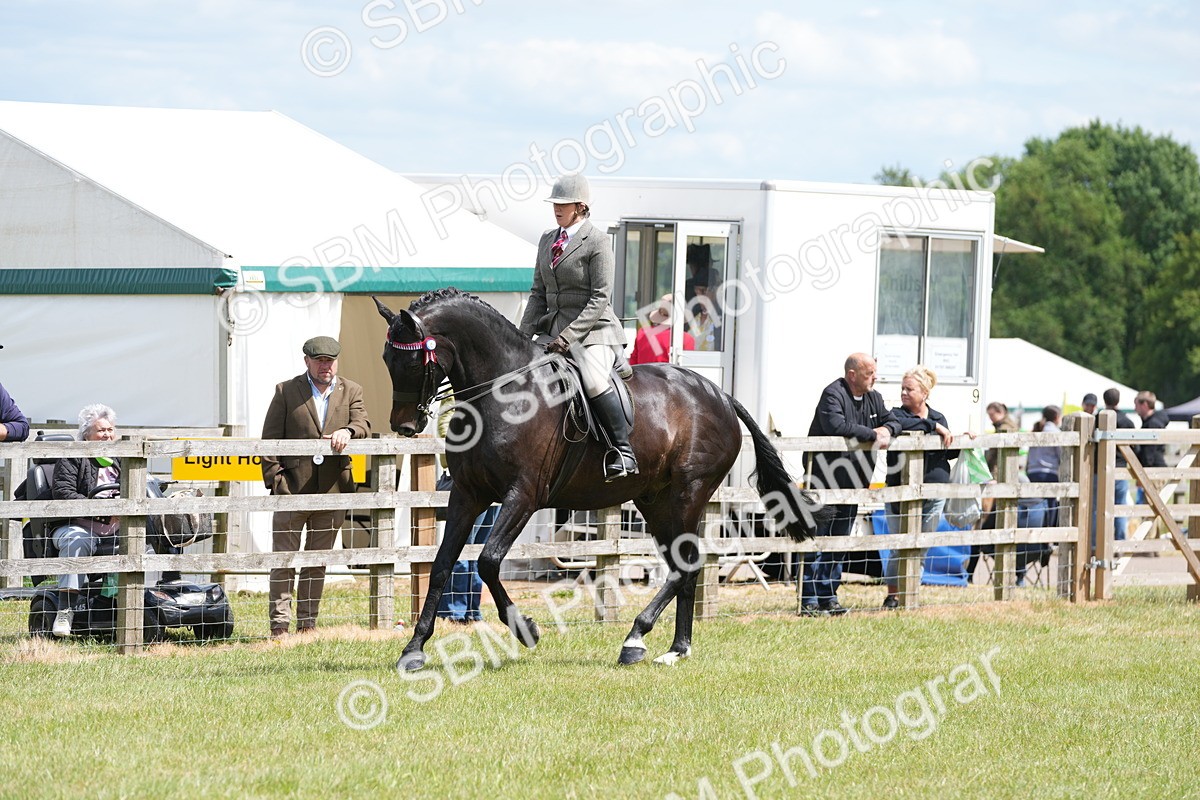 SBM_16177 - Class 105-106 - RIHS Riding Horses