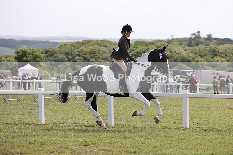 JPP_1408 - Class 17: Cornish Combination Open