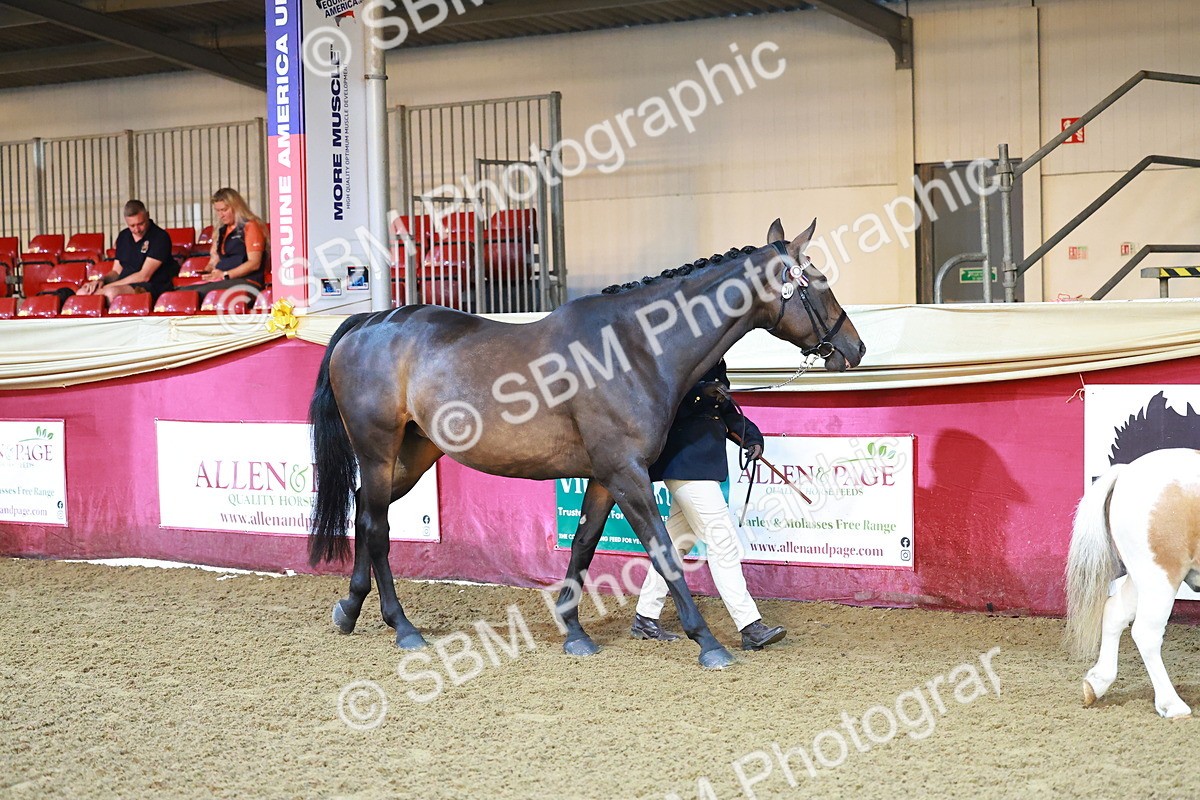 SBM_14680 - Class C - Novelty champ