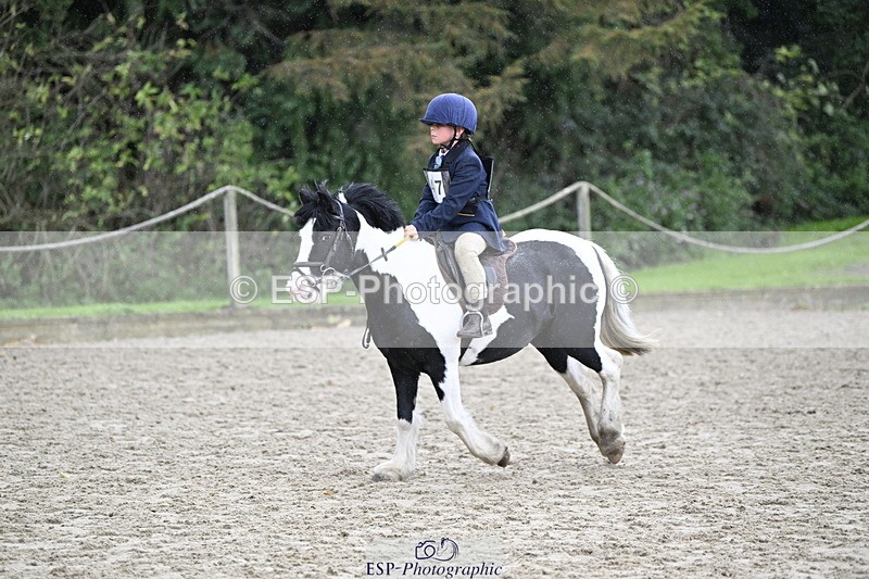 251005A-120424-03595 - Cls 08 Mini 70-75cm