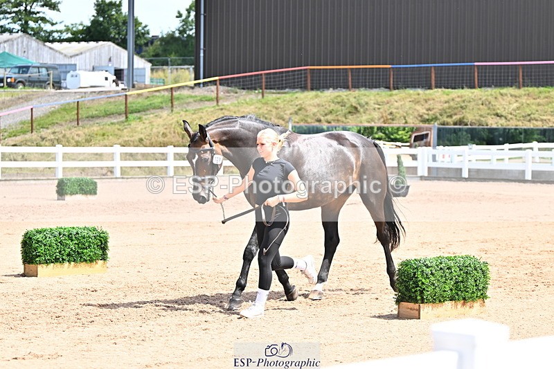 240718A-105254-01315 - Trot Up 12pm to 1pm