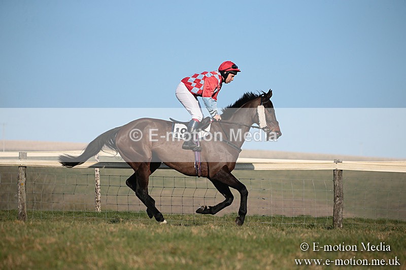 PtP 230219 481 - Vine & Craven Point-To-Point - Barbury 23/02/19