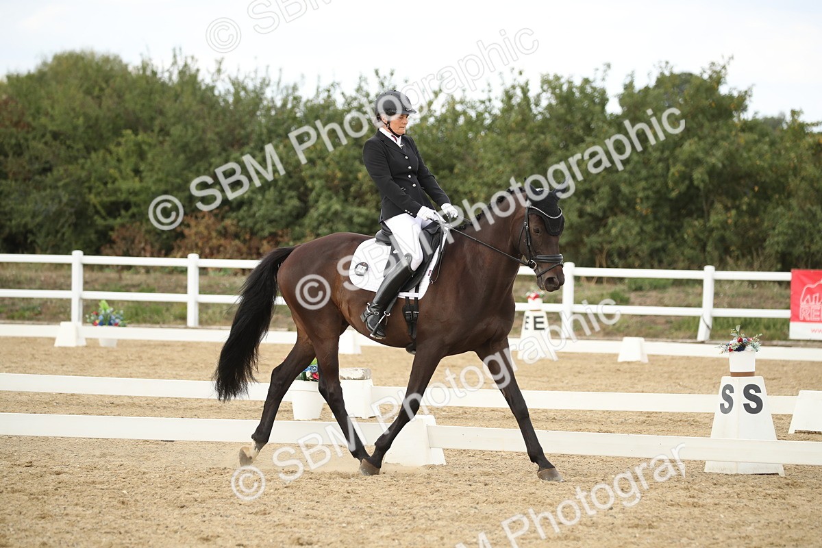 SBM_003017 - Class 6 - Elementary 5 - 14.50-15.46