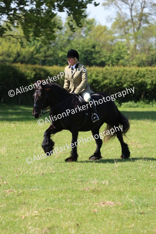 20250427-2454 - Class 19 - Mini Working Hunter