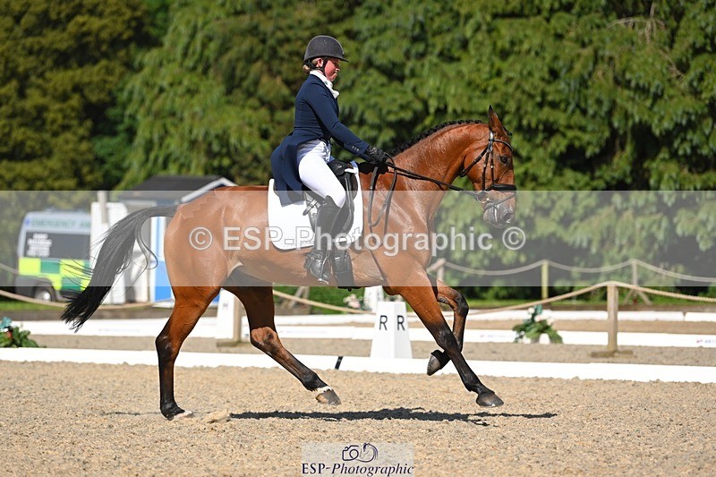 230526-160554-07265 - 253-MY_EASTWOOD_BRIGHTSIDE-Darcy_Zander-WEDTrotUp+DR