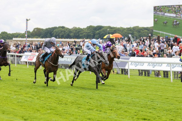 190523-Race 1-Got To Love A Grey-7700 - Race 1 1.50pm Clipper EBF Marygate Fillies' Stakes