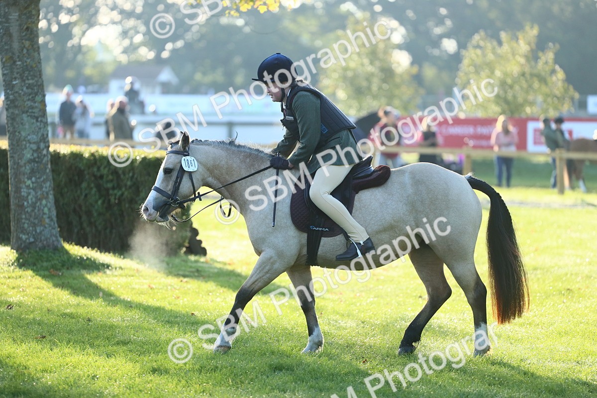 SBM_37269 - S29 - Novice & Newcomers Working Hunter Pony
