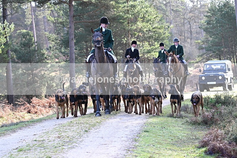 WJ7_7681 - Line 3 (no line 4 or 5)