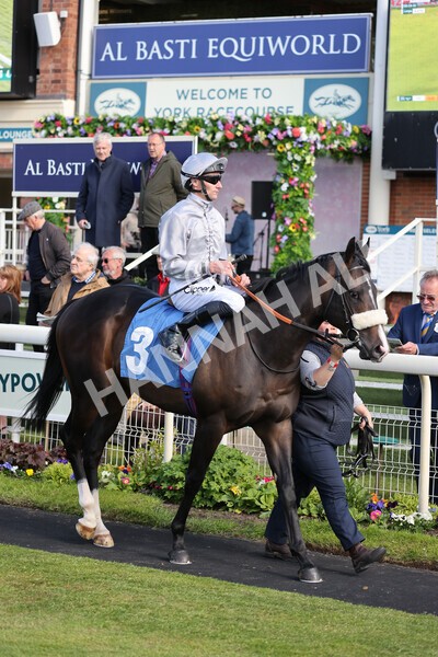 yr12052022r6-11 - Race 6 4.45pm Frank Whittle Partnership EBFstallions.com Maiden Stakes