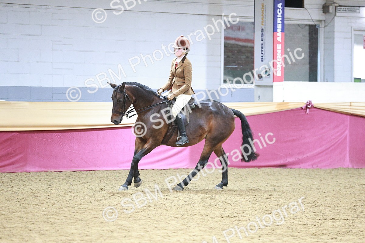 SBM_08233 - Class 11R - Regional Ridden Veteran