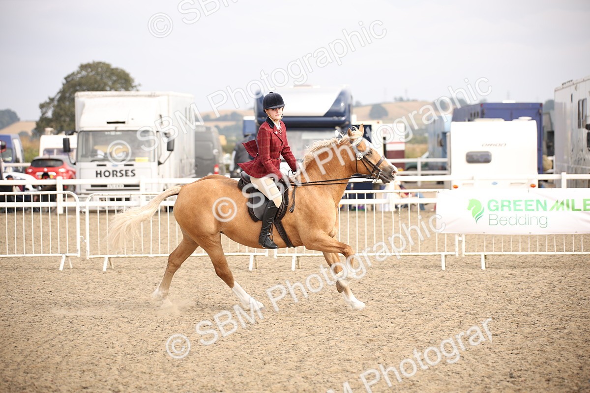 SBM_17258 - Class 410a - Wor5king Veteran 90cm (15-19)