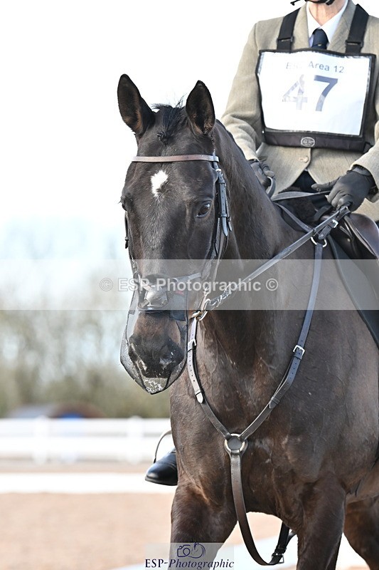 240324A-155321-04644 - Novice 28, 15.33 to 16.15