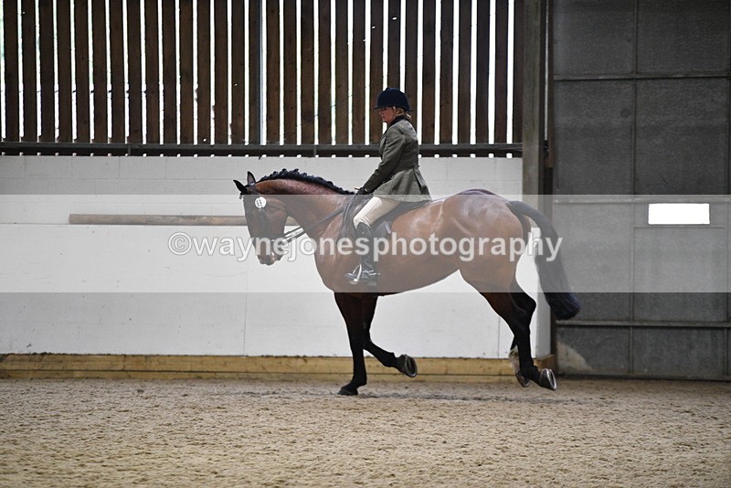 WJ5_9006 - Class 15 Ridden Show Horse