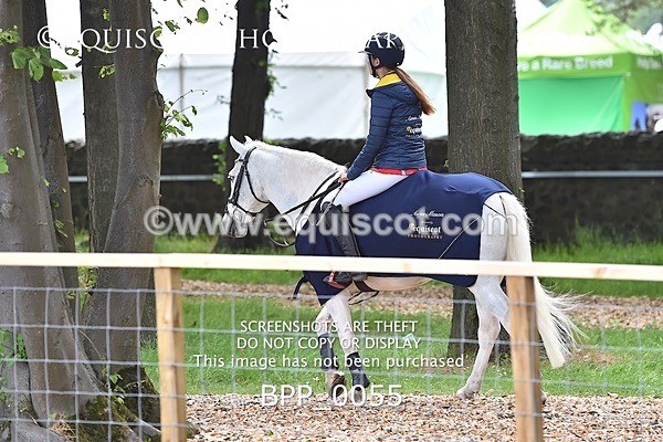 BPP_0055 - RHS 2019 Selection - *Just some random spectator shots so Lucky Dip if you are there!