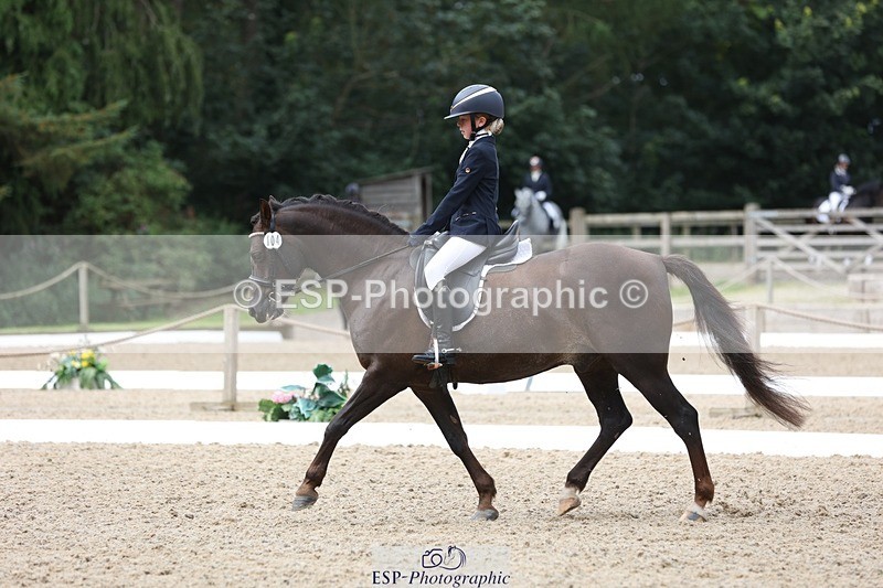 230812-103607-03274 - Cls 5 Novice Bronze Start to 10.55 break