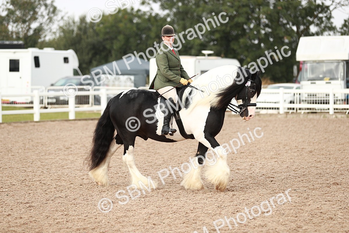 SBM_09408 - Class 202 Best Turned Out Ridden