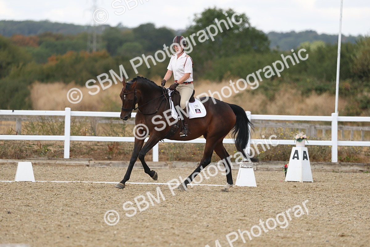 SBM_009071
