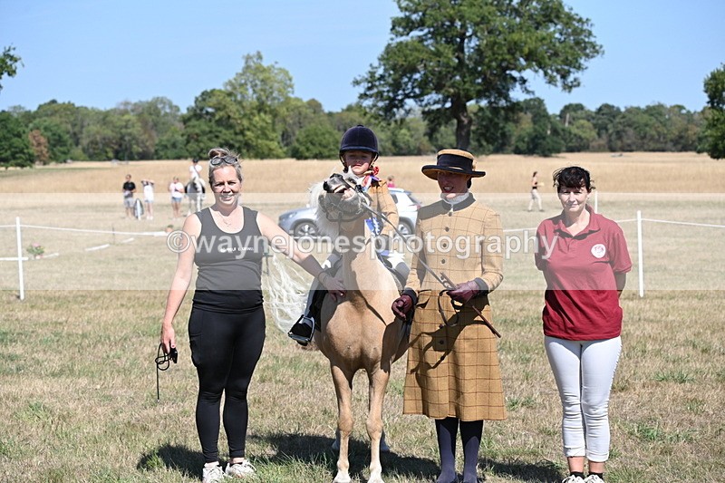 WJ6_8138 - Class 36 Lead Rein