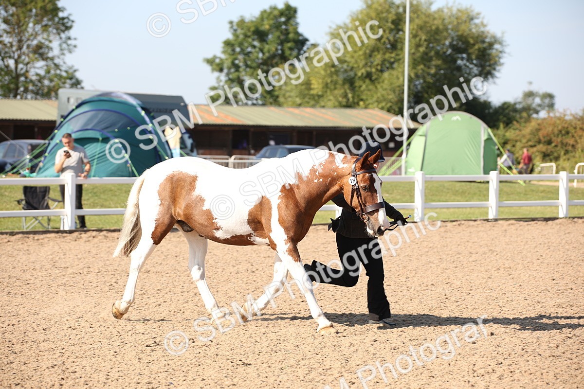 SBM_01458 - Class 15 IH Coloured