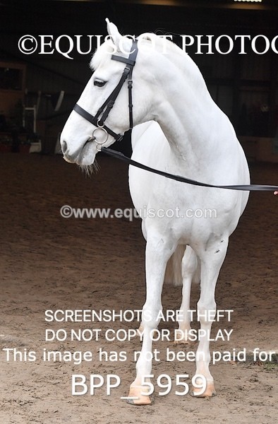 BPP_5959 - Erin Hancock ×2