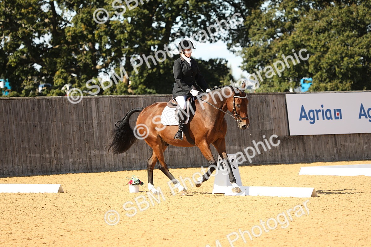 SBM_24443 - D17 - Grand Tour Championship - Novice 27