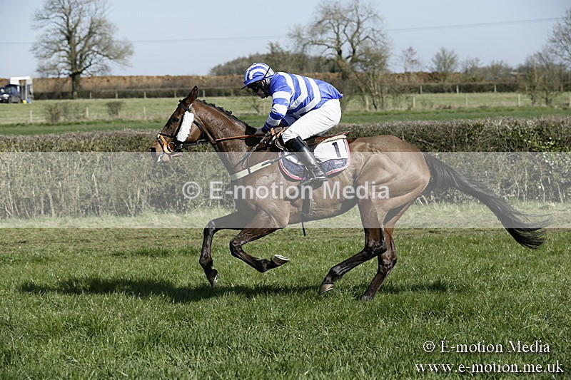 PtP 250317 138 - V.W.H. Hunt Point-to-Point Siddington 25/03/17