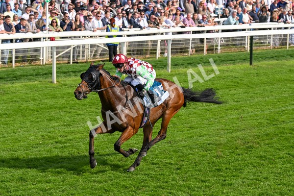 170524-Race 6-Riot-8528 - Race 6 4.45pm Yorkshire Equine Practice Handicap
