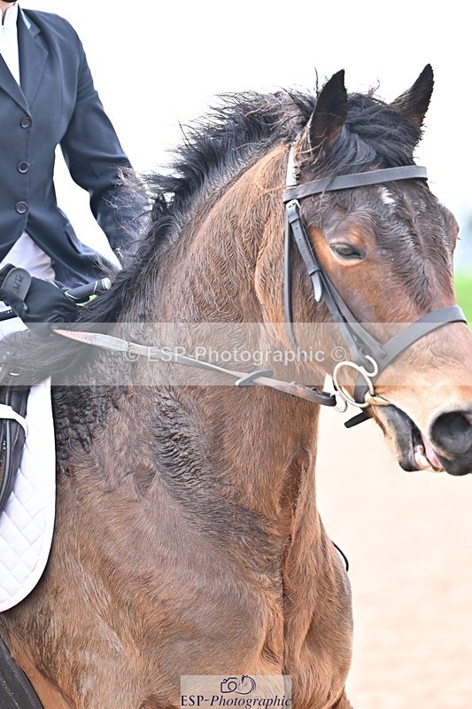 260208-135354-01470 - Cls 21+22 Club and Schools 70cm